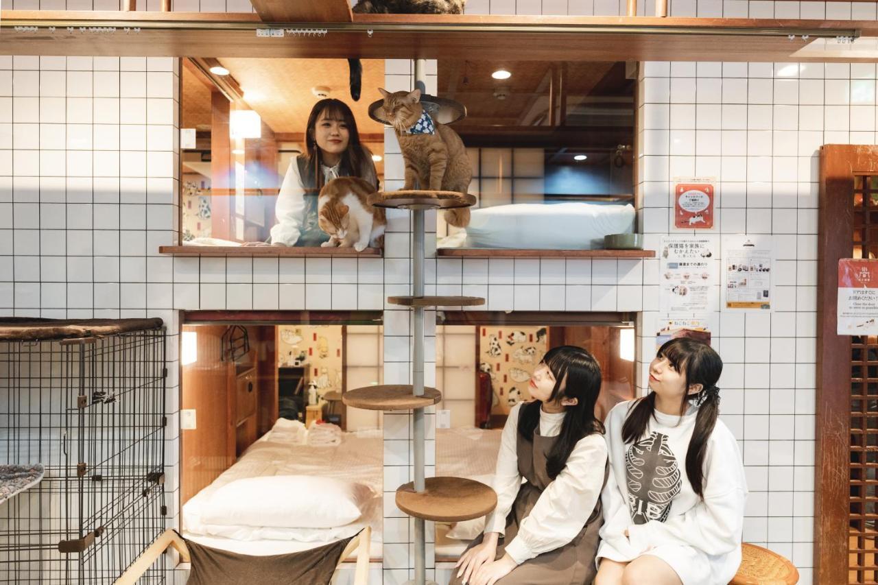 Cat Spa & Cat Ryokan By Neco Republic Osaka Exterior photo