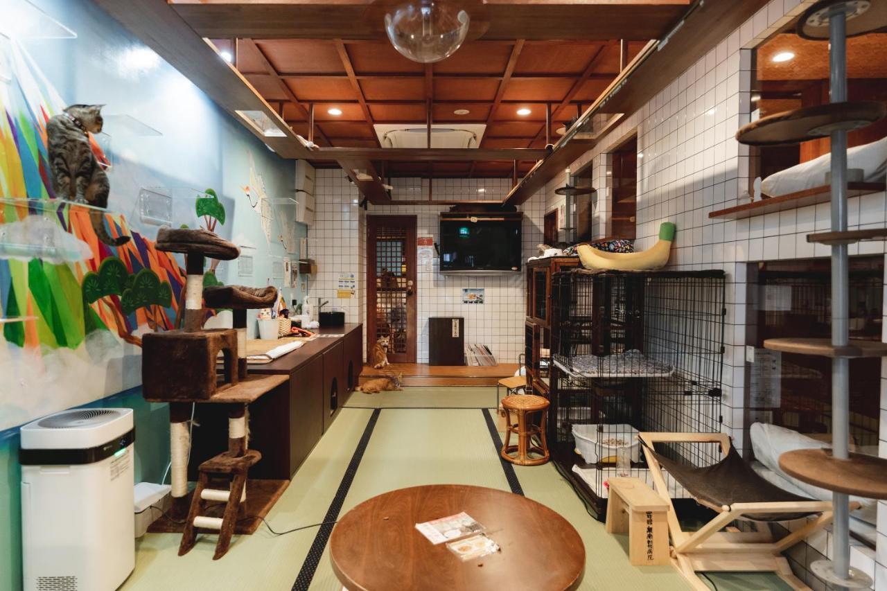 Cat Spa & Cat Ryokan By Neco Republic Osaka Exterior photo