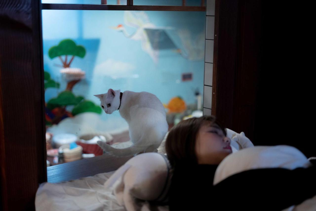 Cat Spa & Cat Ryokan By Neco Republic Osaka Exterior photo
