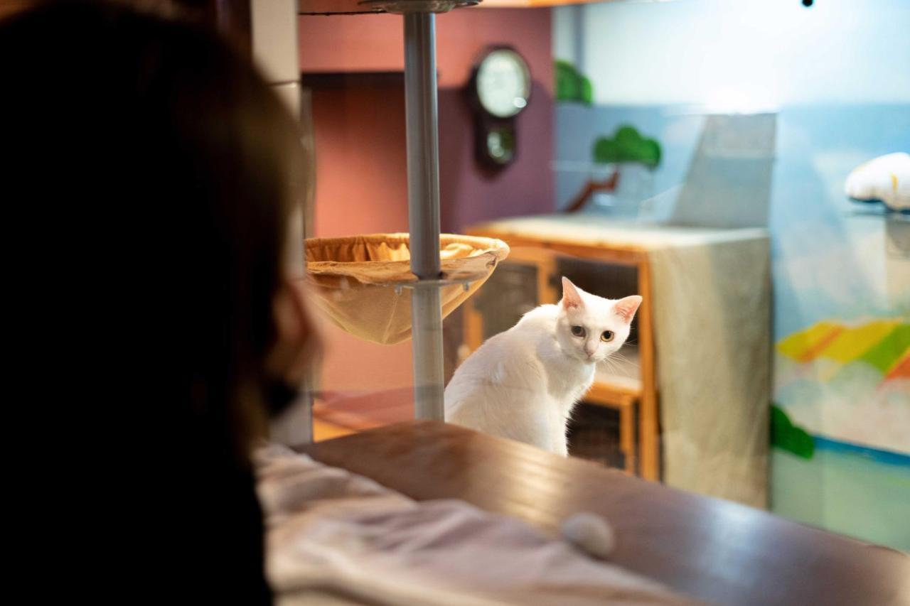 Cat Spa & Cat Ryokan By Neco Republic Osaka Exterior photo